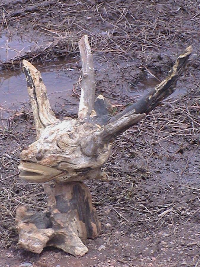 Fish found sculpture from lake atitlan guatemala